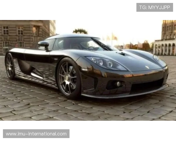 C罗豪车大揭秘布加迪领衔总价值超千万英镑 C罗豪车大揭秘布加迪领衔总价值超千万英镑